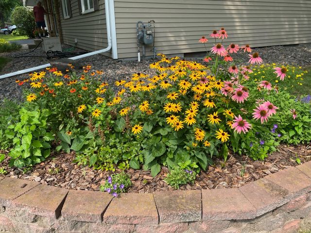 10156 Pilgrim Lane N, Maple Grove, MN 55369