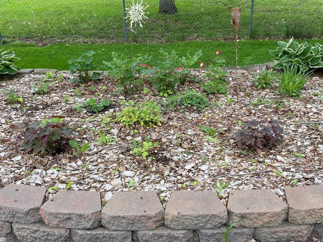 10156 Pilgrim Lane N, Maple Grove, MN 55369