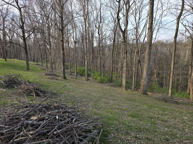 0 Griffith Rd, Nashville, TN 37221