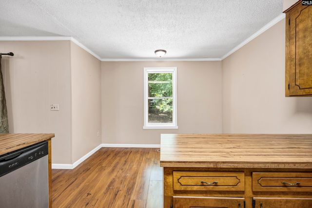 3408 Wessinger Road, Chapin, SC 29036