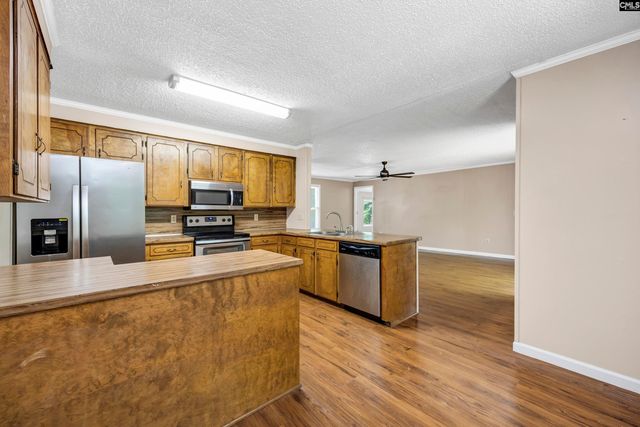 3408 Wessinger Road, Chapin, SC 29036