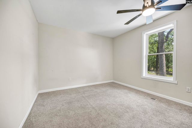 3408 Wessinger Road, Chapin, SC 29036