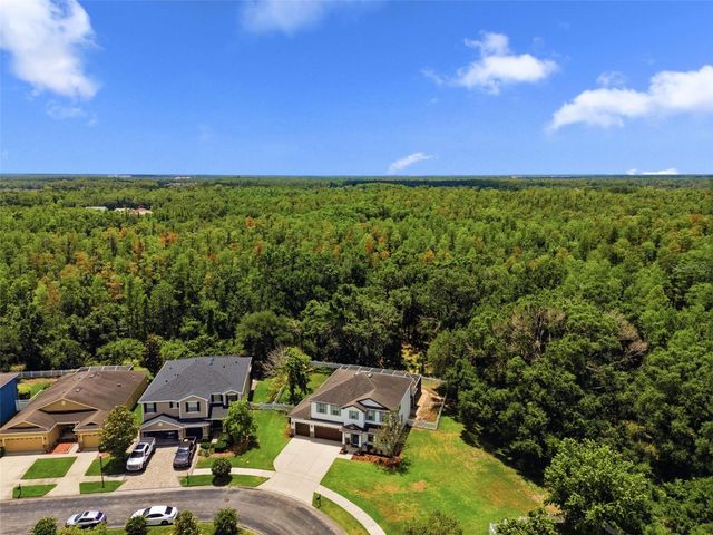 4130 GRANITE GLEN LOOP, Wesley Chapel, FL 33544