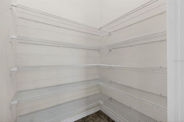 33105 MAJOR OAK DRIVE, Wesley Chapel, FL 33545