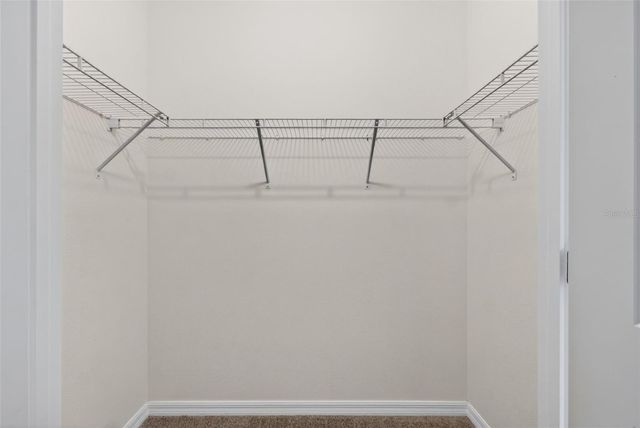 33105 MAJOR OAK DRIVE, Wesley Chapel, FL 33545