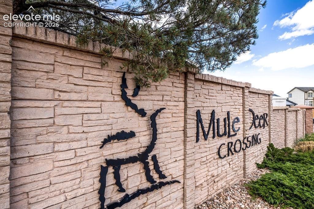 3976 Reindeer Circle, Colorado Springs, CO 80922 — photo 2