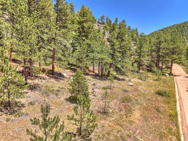 0 Cold Springs Rd, Nederland, CO 80466