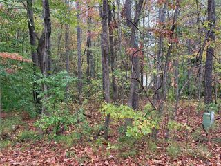 2313 Larchmont Court, Villa Rica, GA 30180