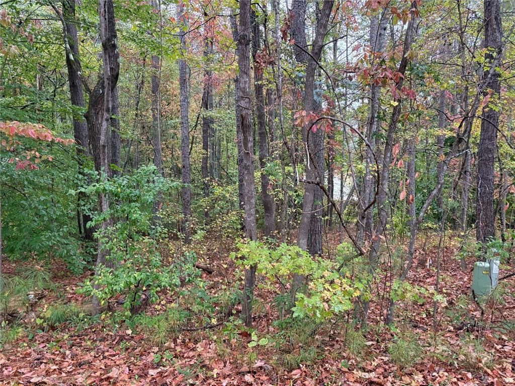 2313 Larchmont Court, Villa Rica, GA 30180