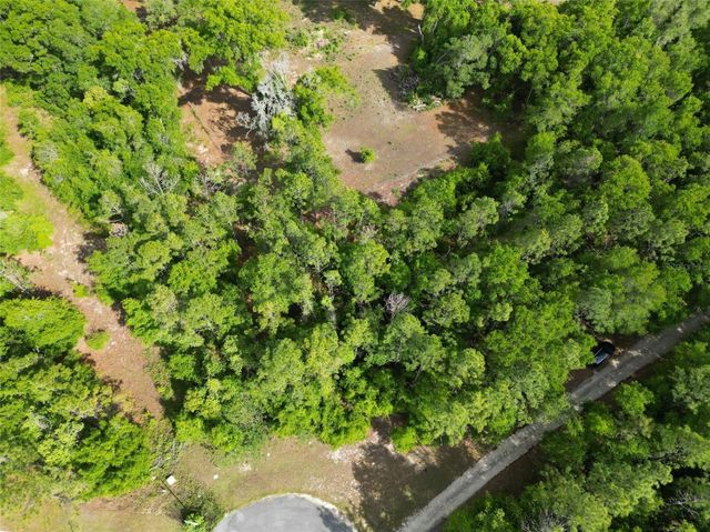 0000 SE 119 STREET, Belleview, FL 34420