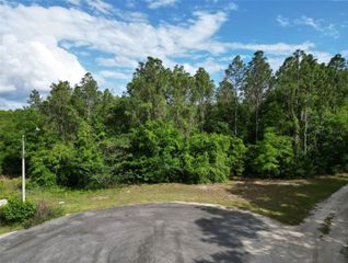 0000 SE 119 STREET, Belleview, FL 34420
