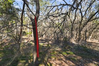 00 Royal ST, Salado, TX 76571