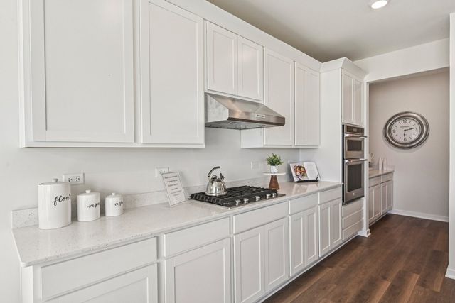 1456 Vintage Drive, Oswego, IL 60543