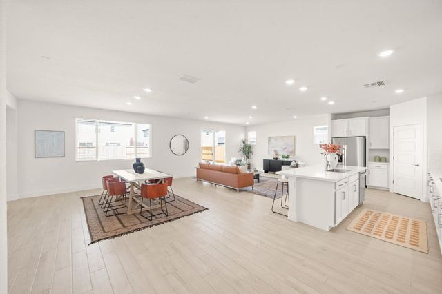 1505 Speckled Dace Way, Sacramento, CA 95832