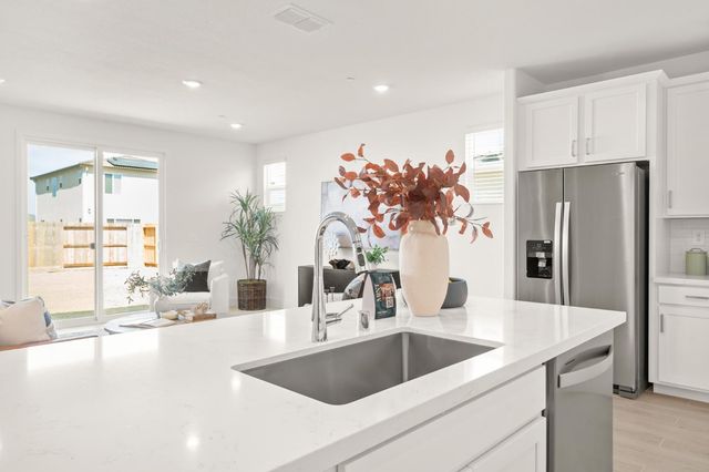 1505 Speckled Dace Way, Sacramento, CA 95832