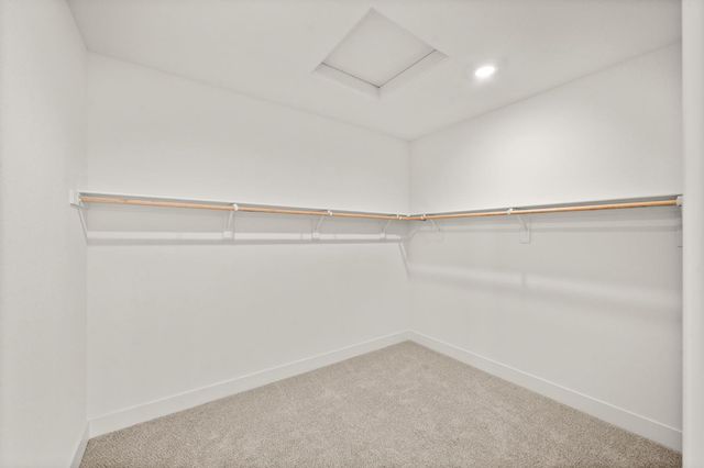 1505 Speckled Dace Way, Sacramento, CA 95832