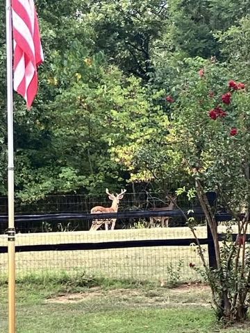 5650 Point Lavista, Malakoff, TX 75148