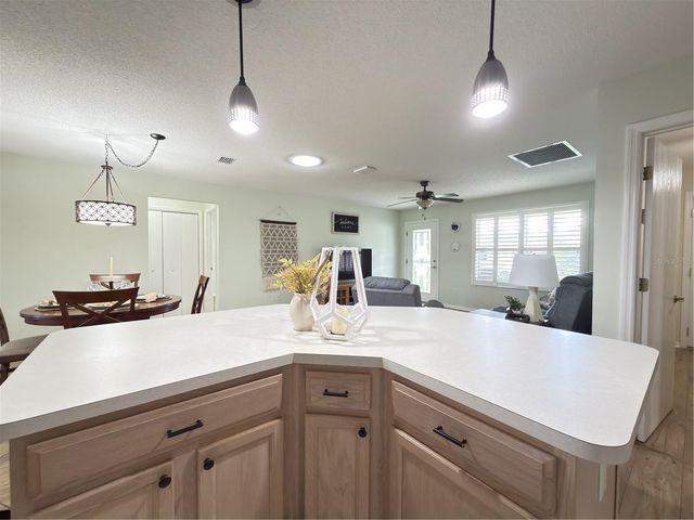 16899 SE 96TH CHAPELWOOD CIRCLE, The Villages, FL 32162