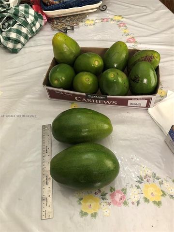 3740 W 5th Ct, Hialeah, FL 33012