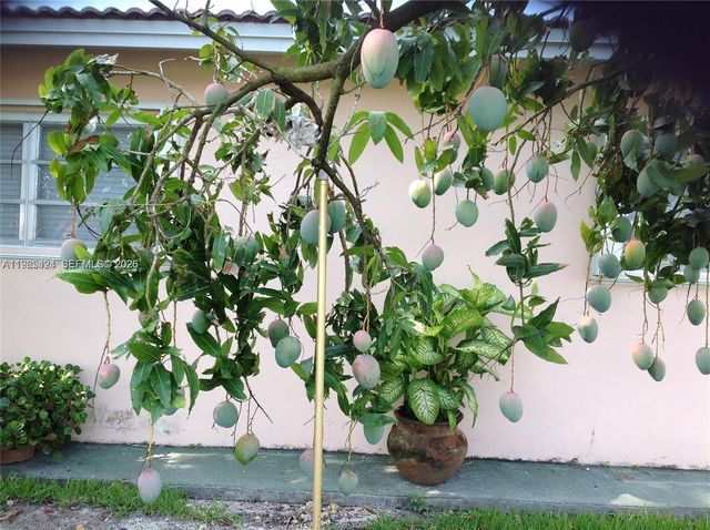 3740 W 5th Ct, Hialeah, FL 33012