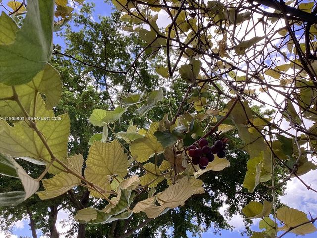 3740 W 5th Ct, Hialeah, FL 33012