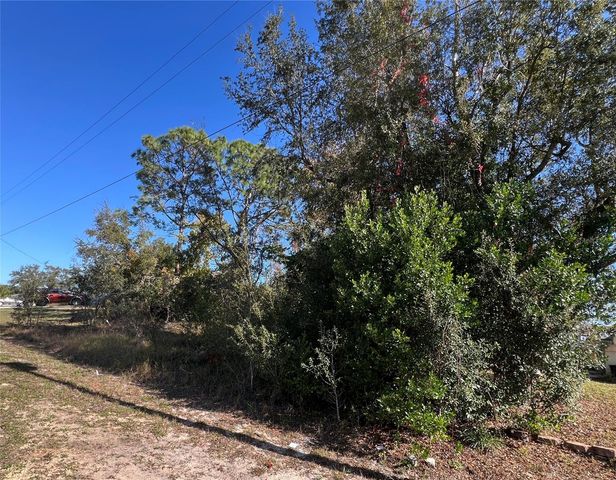 2460 MATHESON AVENUE, Spring Hill, FL 34608