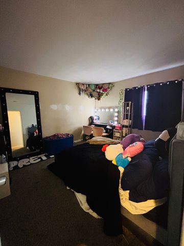 807 Union Drive, University Park, IL 60484