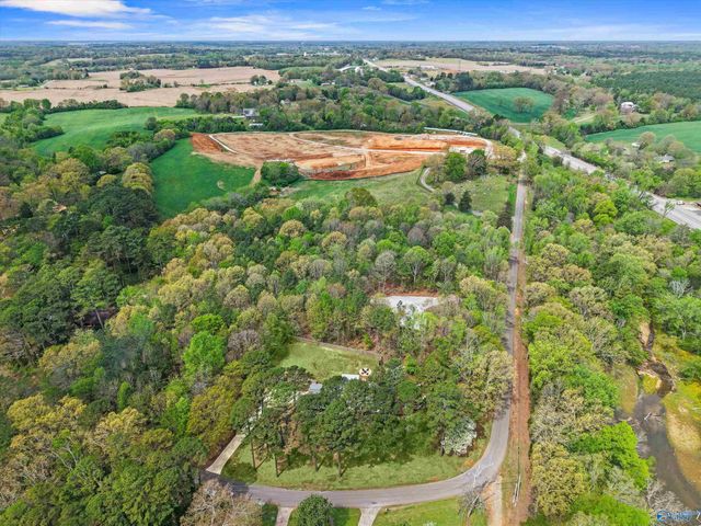 386 York Drive, Rogersville, AL 35652