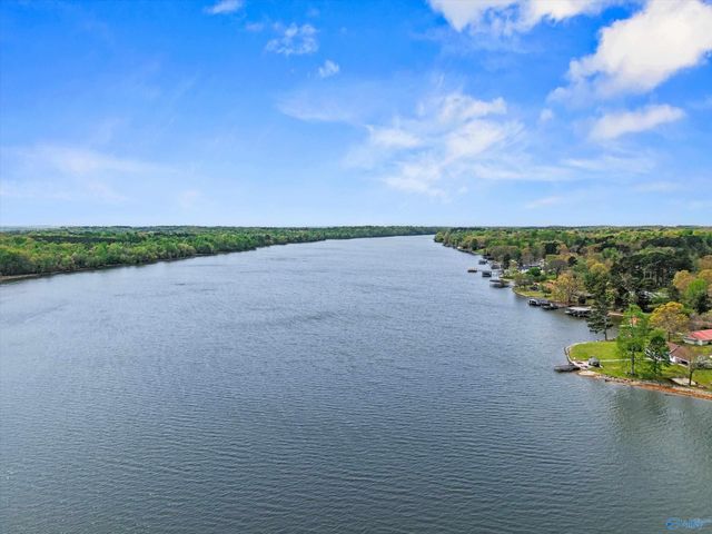 386 York Drive, Rogersville, AL 35652