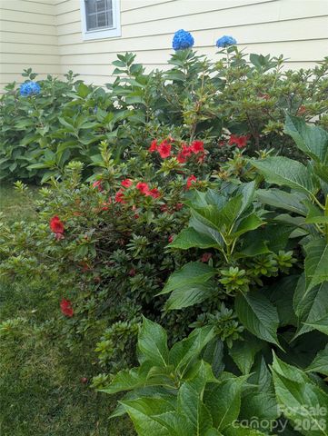 10 Cotton Creek Circle, Black Mountain, NC 28711