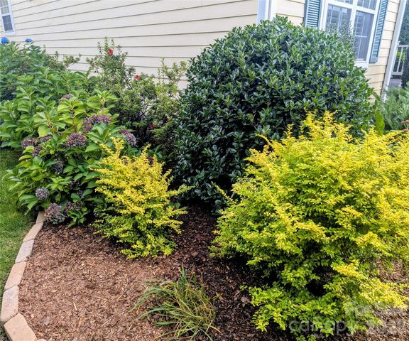 10 Cotton Creek Circle, Black Mountain, NC 28711