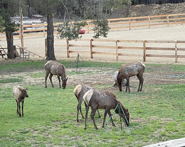 17235 S Century Drive, Bend, OR 97707