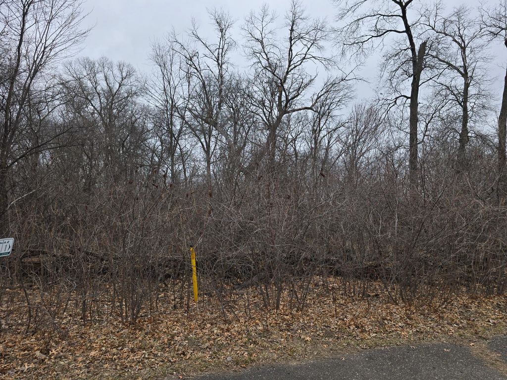 L1,B2 288th Avenue NW, Princeton, MN 55398 — photo 2
