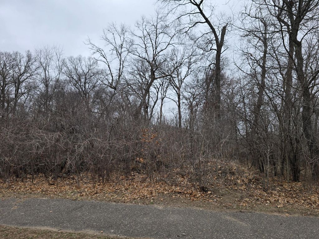 L1,B2 288th Avenue NW, Princeton, MN 55398 — photo 3