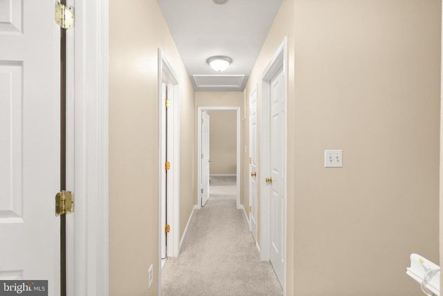 10757 SHENANDOAH PATH, Catlett, VA 20119