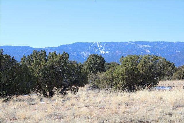 105 Acres, Sandia Park, NM 87047
