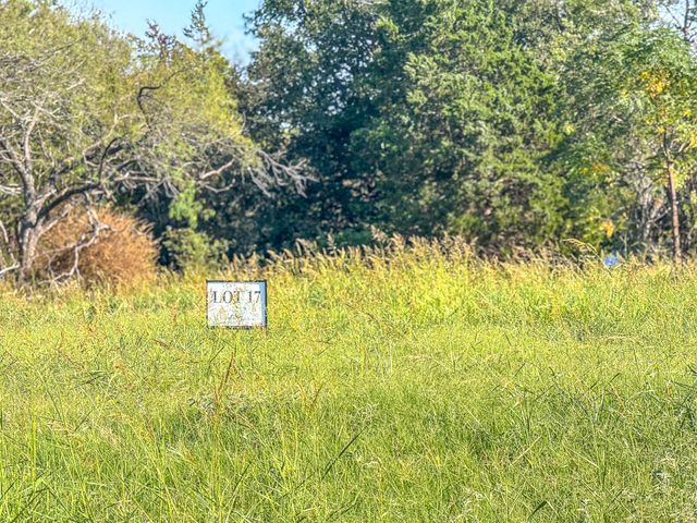 Lot 17 Bordeaux Lane, Corsicana, TX 75109