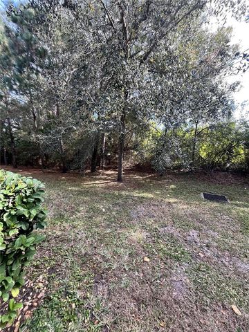 17371 OLD TOBACCO ROAD, Lutz, FL 33558