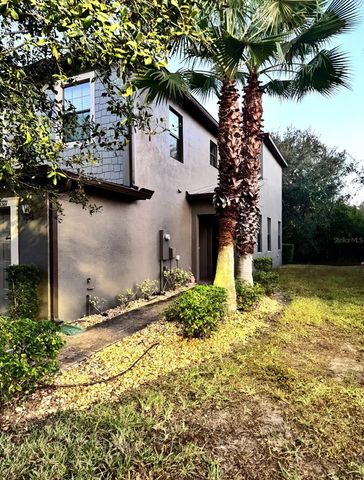 17371 OLD TOBACCO ROAD, Lutz, FL 33558