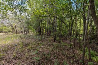 8198 SHASTA STREET, Webster, FL 33597