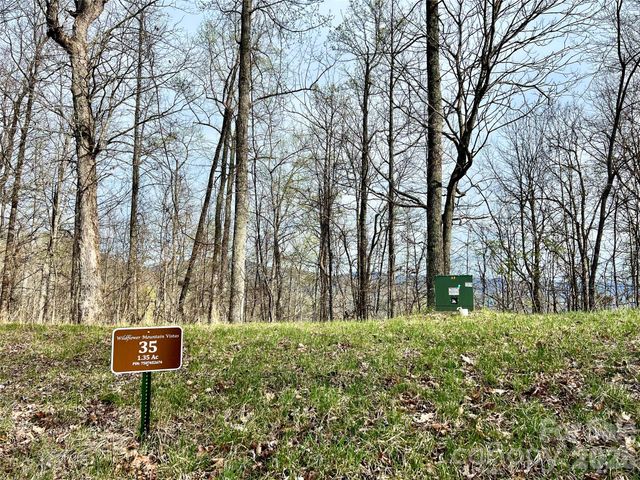 00 Lyle Mountain Trail 35, Franklin, NC 28734