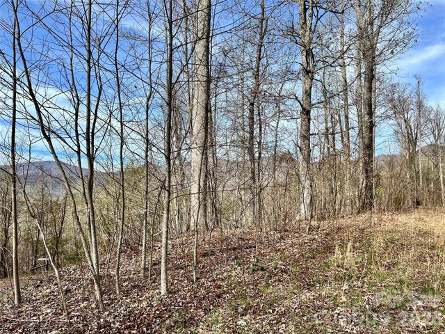 00 Lyle Mountain Trail 35, Franklin, NC 28734