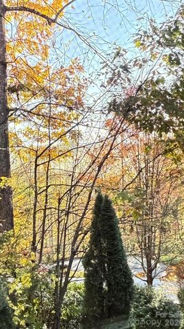 168 Chattooga Run, Hendersonville, NC 28739