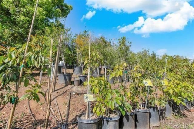 2081 Elevado Road, Vista, CA 92084