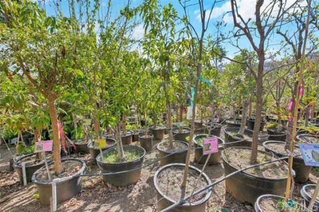 2081 Elevado Road, Vista, CA 92084