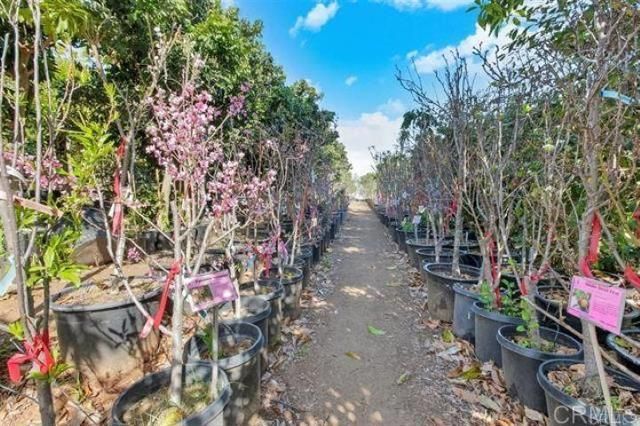 2081 Elevado Road, Vista, CA 92084