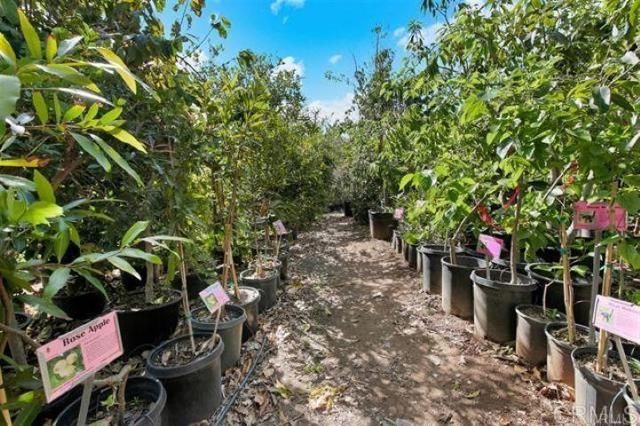 2081 Elevado Road, Vista, CA 92084