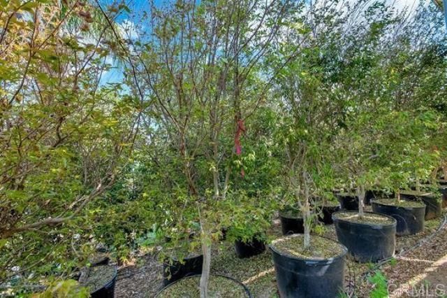 2081 Elevado Road, Vista, CA 92084