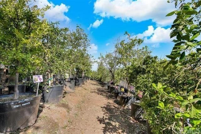 2081 Elevado Road, Vista, CA 92084