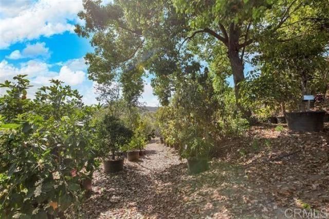 2081 Elevado Road, Vista, CA 92084